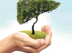 Những loại trái cây có tác dụng kìm hãm phát triển của bệnh ung thư gan